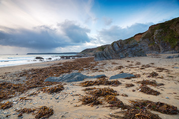 Low Tide at Hemmick in Cornwall
