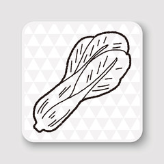 Cabbage doodle