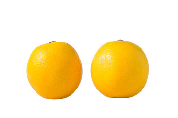 oranges isolated on white background