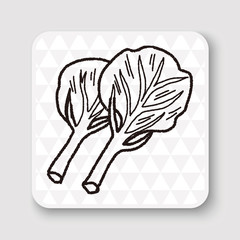 Cabbage doodle