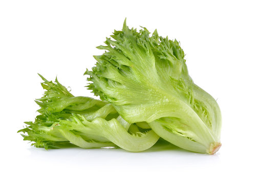 Fresh Green Lettuce On White Background