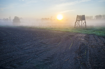 Hunting tower on the morning