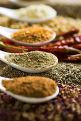 Various seasonings