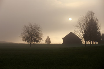 Haus und Bäume mit Nebel und Sonne - 99431567