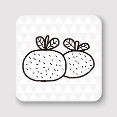 Chinese New Year; Chinese lucky orange means 