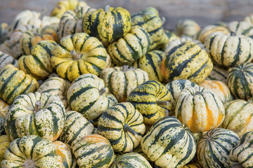 Green and yellow striped pumpkins 