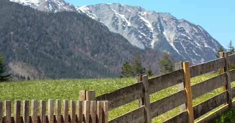 Fototapeta na wymiar Ein Holzzaun in den Alpen - im Hintergrund ein imposantes Bergmassiv
