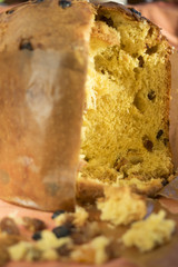 panettone of Milan with candied fruit