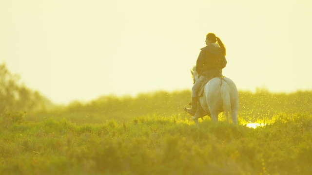 Camargue sunset horse drover animal livestock cowboy