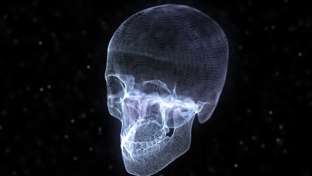 Grid of Human Skull animation
