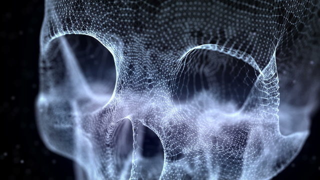 Grid of Human Skull animation
