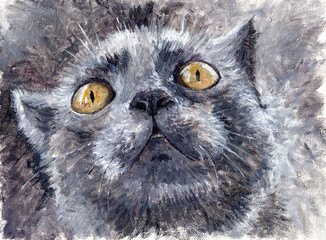 Painting -- gray cat
