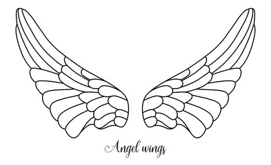 simple shape of angel wings, black line on white background, illustration