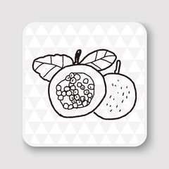 Passion Fruit doodle