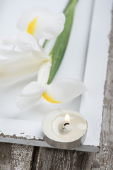 Candle and irisis on white hardwood