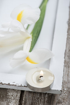 Candle and irisis on white hardwood