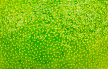 Background of lime peel