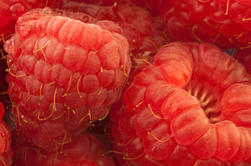 details of raspberry