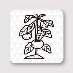 plant doodle