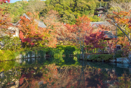 Autumn foliage at Eikando Temple
