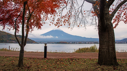 Mt.Fuji with red leaves in Kawaguchiko