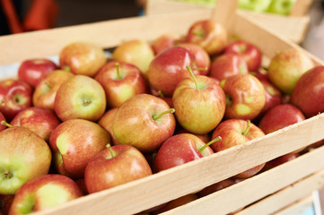 Apples at the farmers market red color