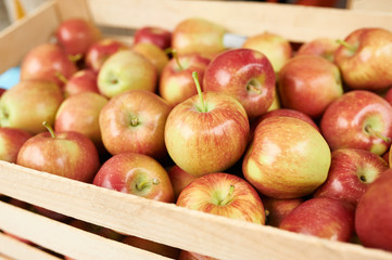 Apples at the farmers market red color