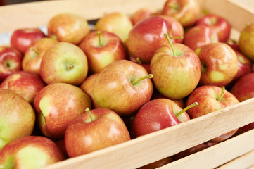 Apples at the farmers market red color