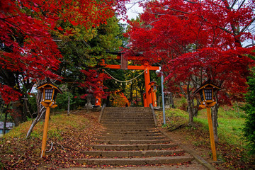 Fototapeta premium Torii gate to chureito pagoda