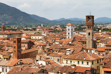 Fototapeta premium View from the Guinigi tower over the city of Lucca in Tuscany, Italy. 