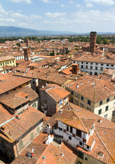 Fototapeta na wymiar Skyline of the city of Lucca, Italy. Seen from the Torre delle ore towards the Guinigi tower