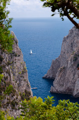 Sea, cliff and Faraglioni view with vegetation frame at Capri