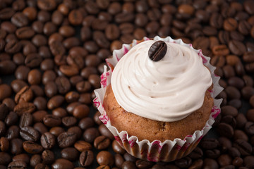 Chocolate cupcake on the coffee beans 
