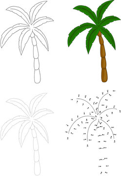 Cartoon palm tree. Vector illustration. Dot to dot game for kids