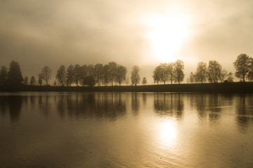 Fototapeta premium Bäume im Nebel