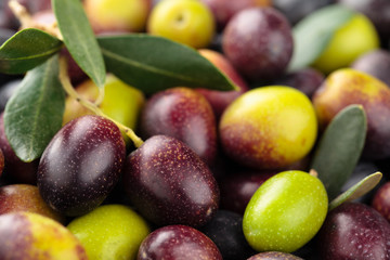 Fresh olives.