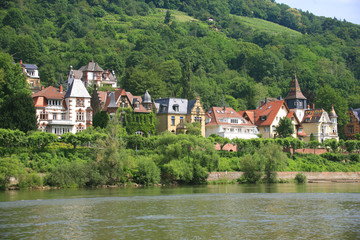 Fototapeta na wymiar Germania,Heidelberg,case lungo il fiume.