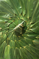 Zongzi and Zongzi leaves