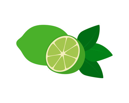 Flat icon fruit lime