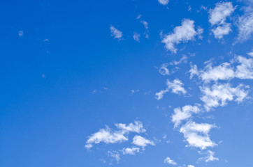 Fototapeta na wymiar blue sky have white cloud