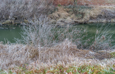 Banks Of The Green River 2