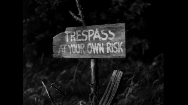 Zoom in to Trespass At Your Own Risk sign