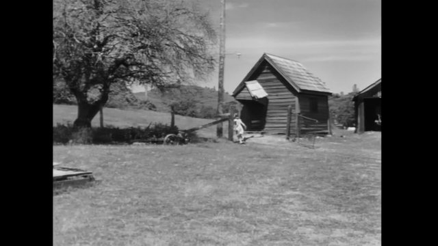 Woman on farm running through field, 1940s