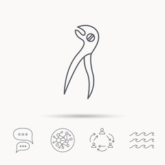 Dental pliers icon. Stomatological forceps tool.