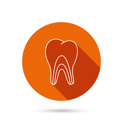 Dentinal tubules icon. Tooth medicine sign.