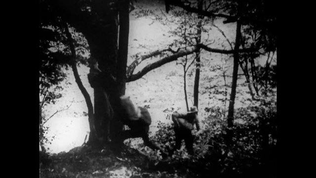 Search party looking for criminals hiding in the woods, 1920s