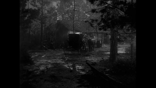 Horse drawn carriage traveling though forest in thunder storm