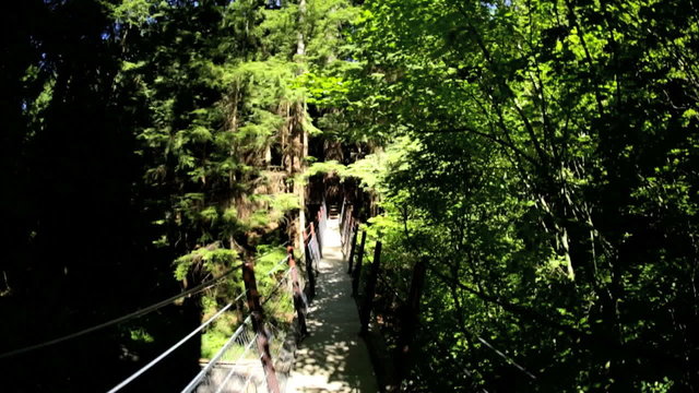 POV walking elevated pedestrian suspended Treetop walkway Capilano Vancouver 
