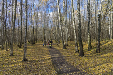 Walking path in the autumn park.