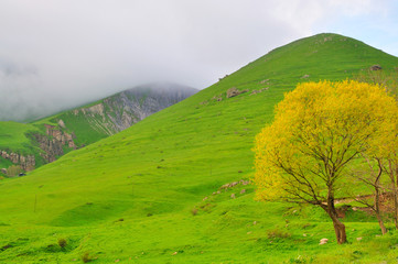 Spring in the mountains of Armenia